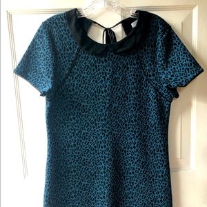 Urban Outfitters blue leopard print mini sweater dress
